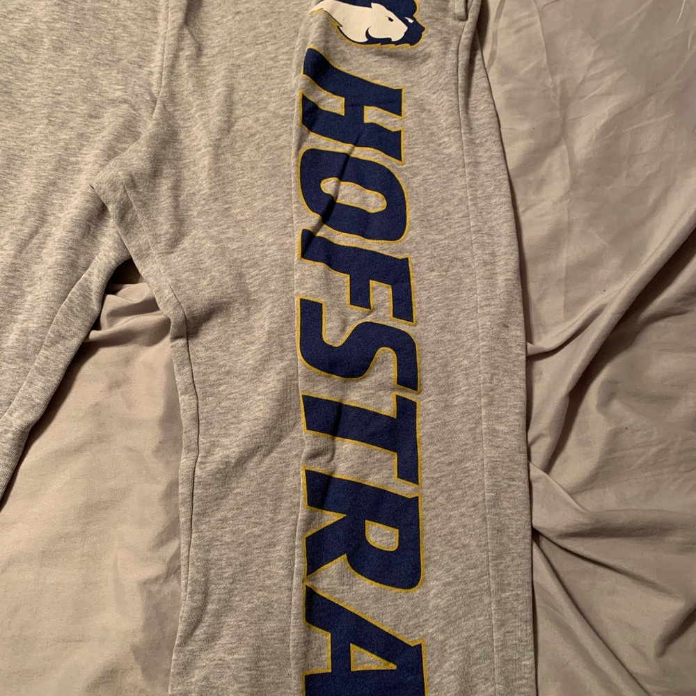 Hofstra sweatpants